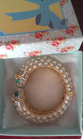 Panther Leopard Kiss