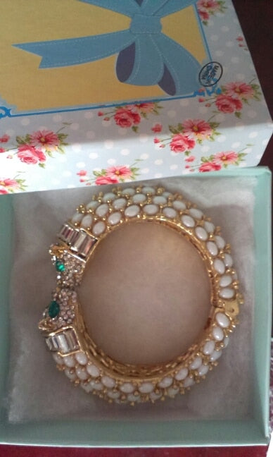 Panther Leopard Kiss