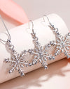 Winter Snowflake